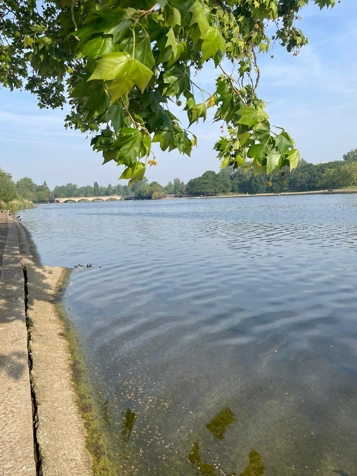 Serpentine Lake Hyde Park